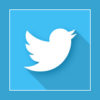 Twitter-Button